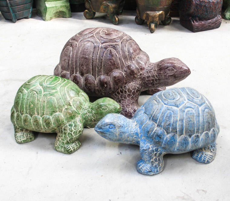 Garden-Turtle-Group-3--scaled (2)